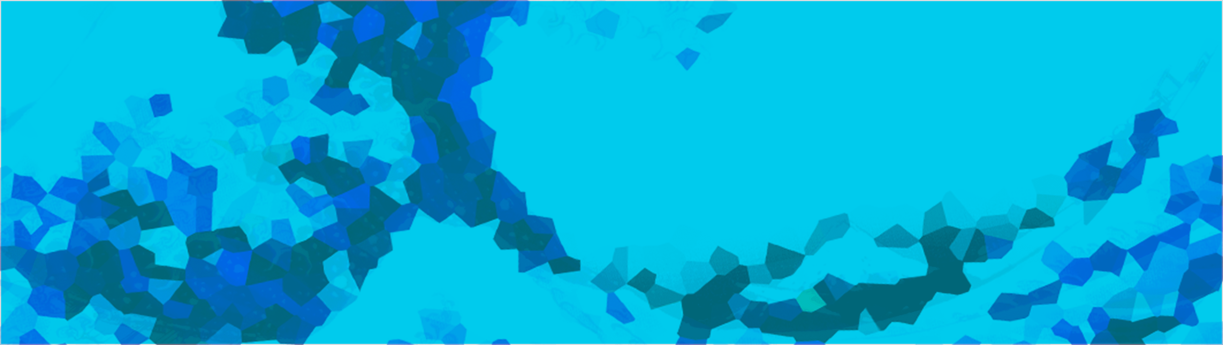 Experienced Consultants